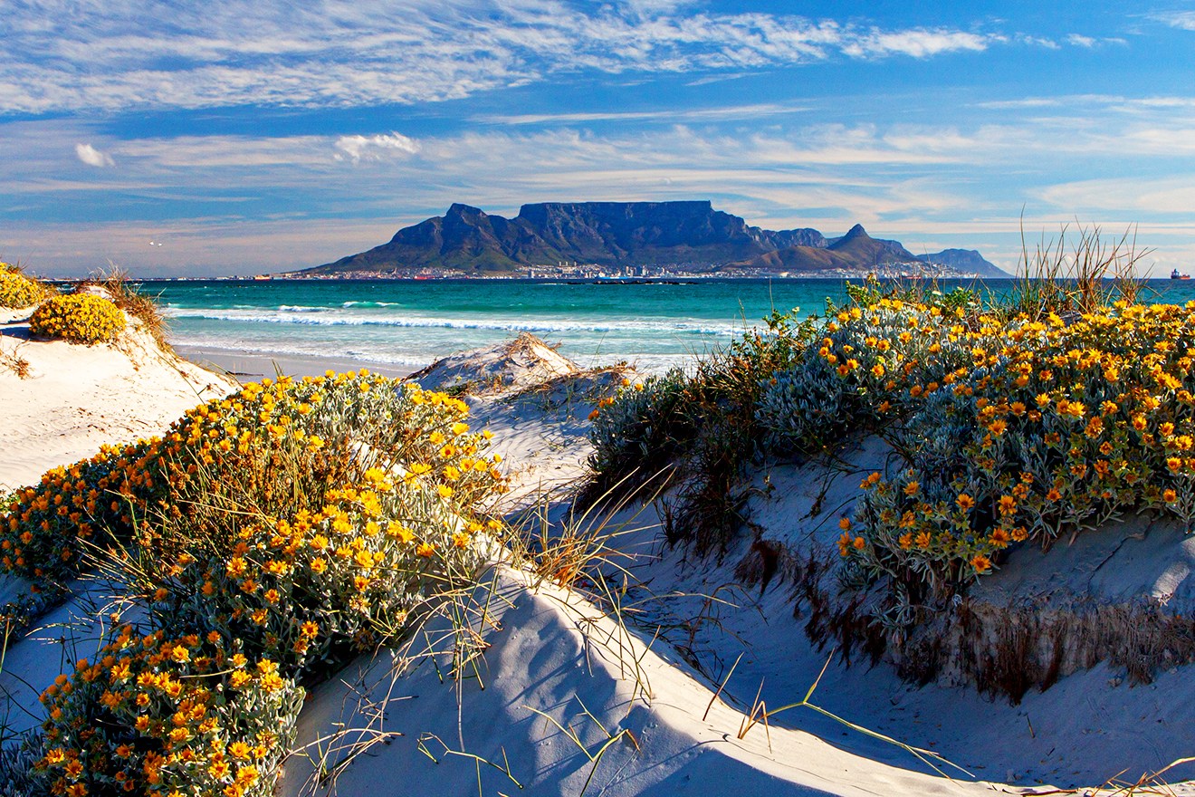 View of Table Mountain across Table Bay - Travel with Euro Tours