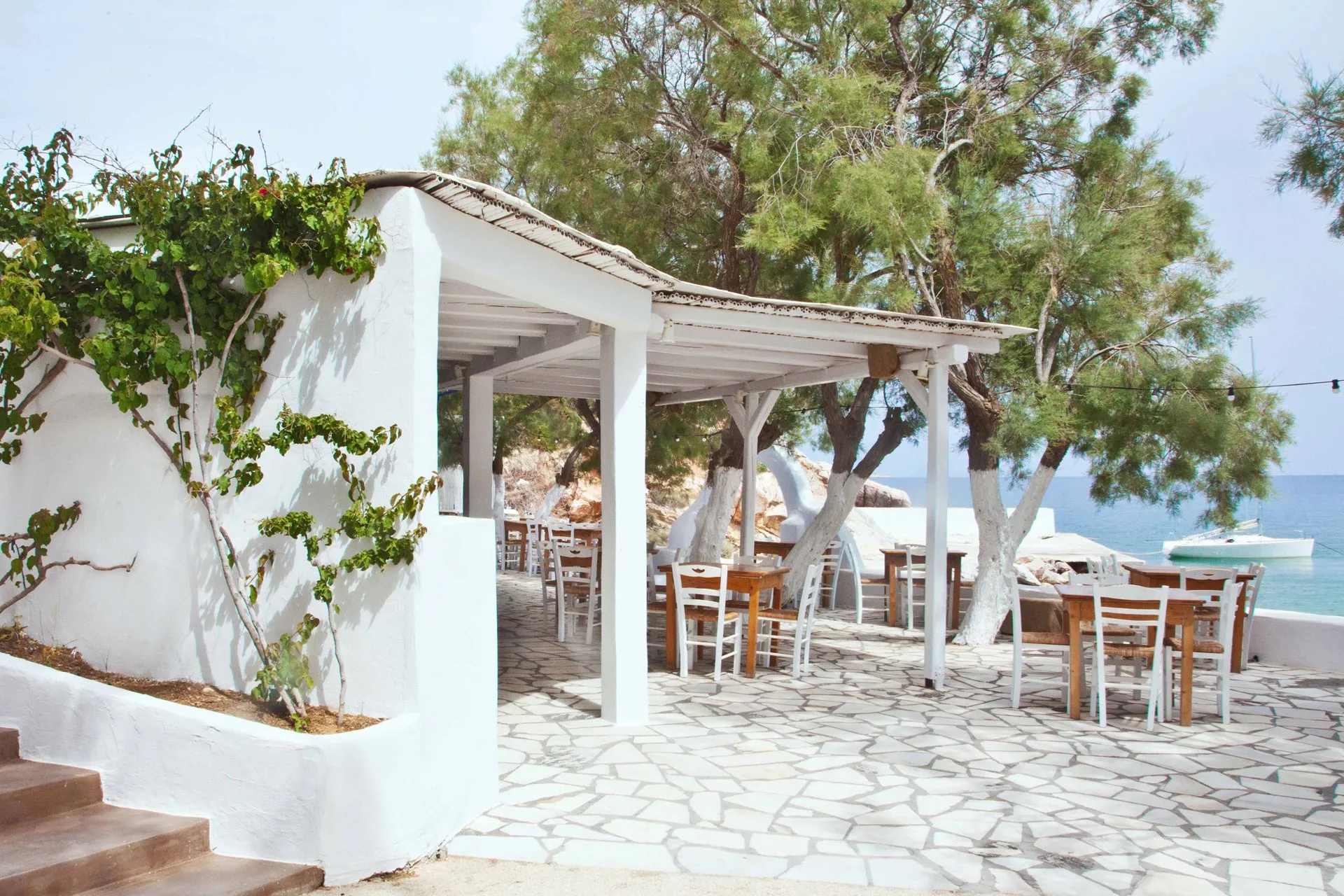 Anti paros seaside taverna